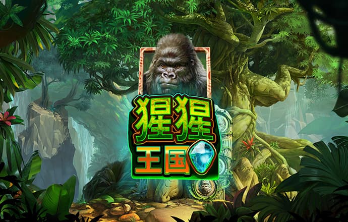 买马网站app截图4